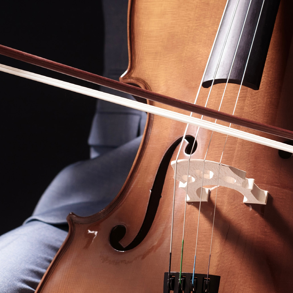 Château d'Argenteuil and Queen Elisabeth Violin being played